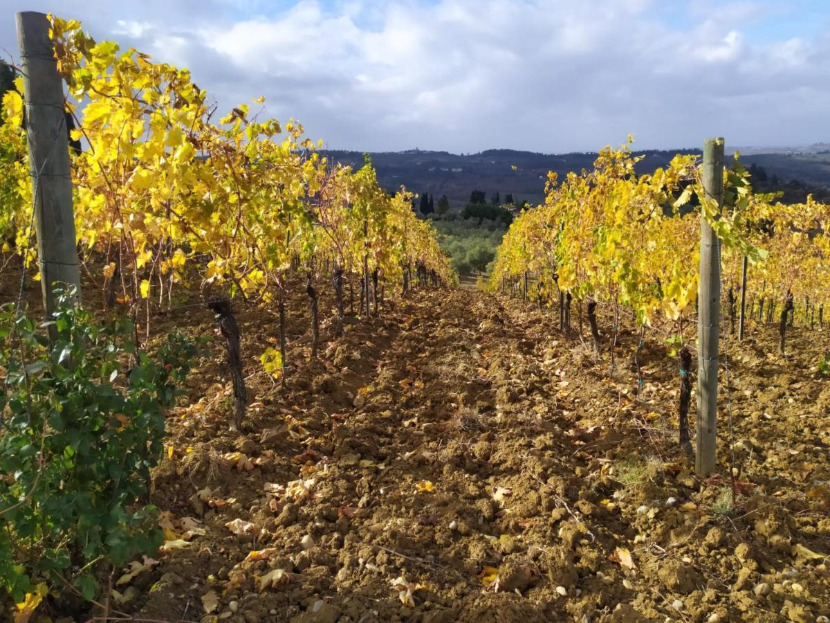 La Quiete Tra Le Vigne Tuscany Collesalvetti Exterior photo